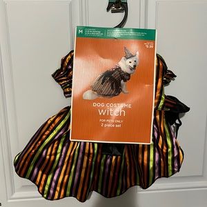 🎃 Witch Costume Size M